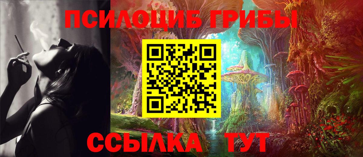 Сызрань  Галлюциногенные грибы GOLDEN TEACHER  Вход с VPN 