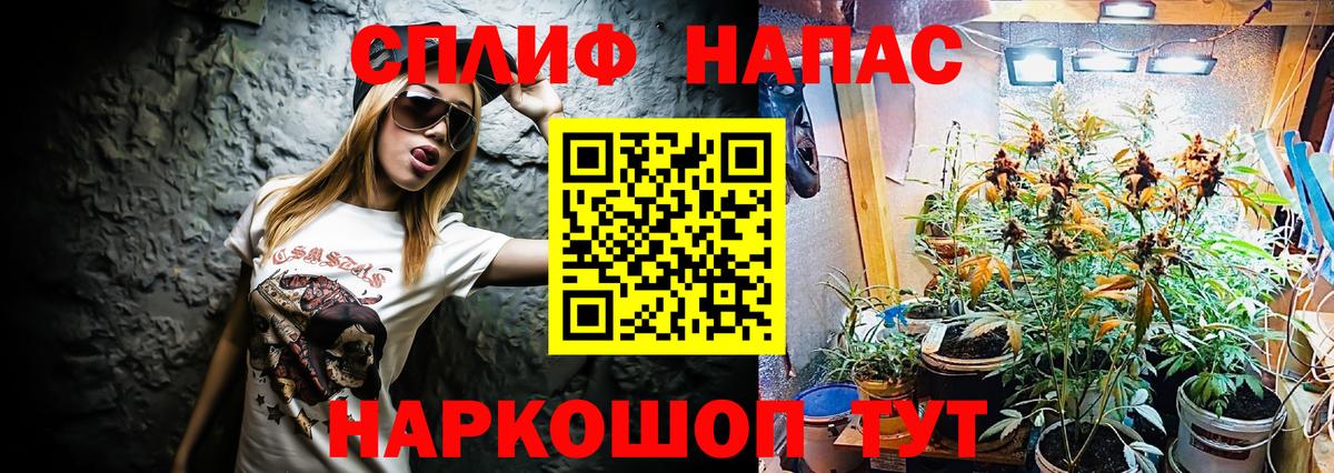 Сызрань  Канабис ГИДРОПОН  Вход с VPN  Канабис план  Канабис семена  Канабис индика 